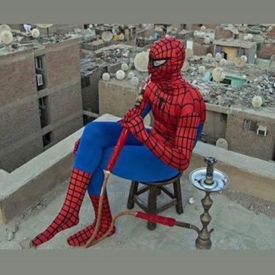 LeBonVoisin's profile picture. pas de chichi cuisine moi comme chichi