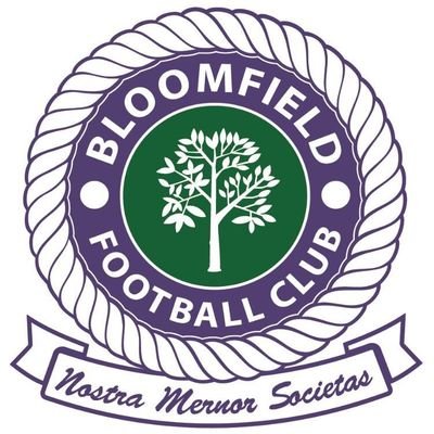 Bloomfield FC are a cross community club with 40 teams ranging from U5's to an over 35's team.