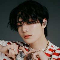 vulpecula.🦊 (@vulpecula0208) 's Twitter Profile