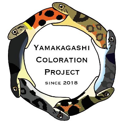 ヤマカガシ体色プロジェクトさんのプロフィール画像