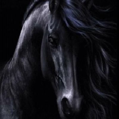 NesmaAd68864036's profile picture. اكونت مانجر إحترافي |سوشيال ميديا اسبشيلست|اكتب بشغف وارسم بحب.