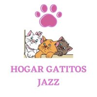 Hogar Gatitos Jazz (@hogargatitosjaz) 's Twitter Profile