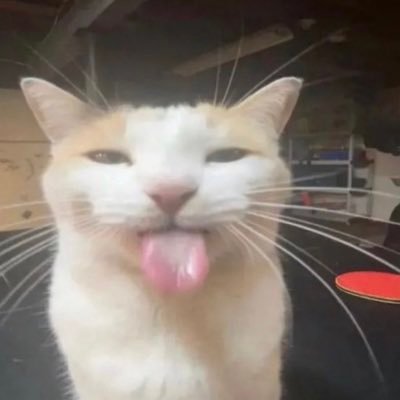 CARA 🫧さんのプロフィール画像
