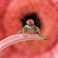 daniel (@idaniel1995_) 's Twitter Profile Photo