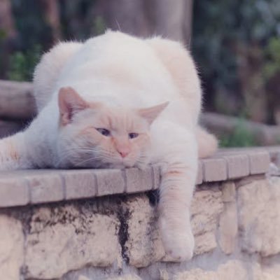 5tHod's profile picture. 