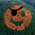 HappisetTree🌲Rickitysplit (@rickitysplit503) Twitter profile photo HappisetTree🌲Rickitysplit (@rickitysplit503) Twitter profile photo