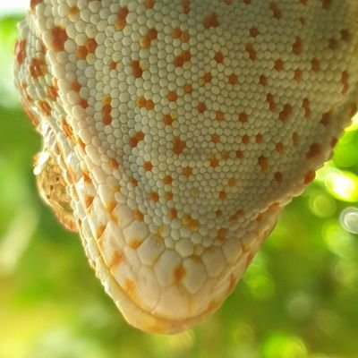 Weakaf0's profile picture. I like travelling and K-Pop