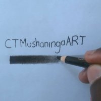 Christopher T MushaningaART🇿🇼(@MushaningaT) 's Twitter Profile Photo