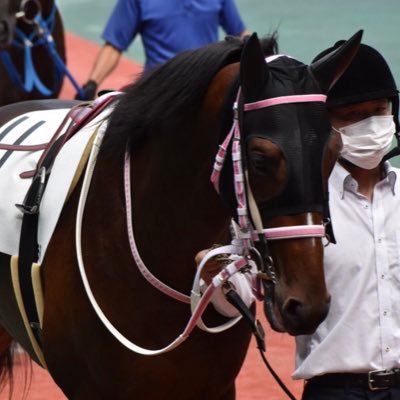 bh_r26's profile picture. 20年産からシルクで一口始めました。 細々とやるので頭数少ないです！ あと、無言でフォローすると思いますけど、よろしくお願いします🤲