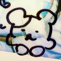 はむたろう(とてもよわい) (@py_hnn1027) 's Twitter Profile