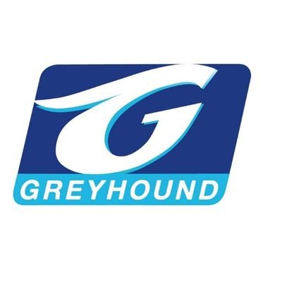 Greyhound