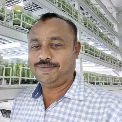 DayanandaHG's profile picture. 