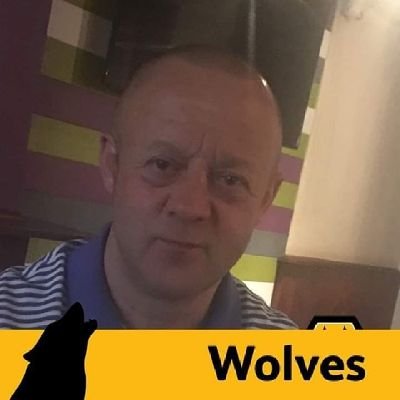 NickShe59305552's profile picture. Wolves boxing