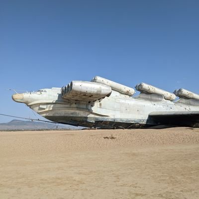 frost_asha's profile picture. 