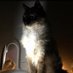 The lost void (@thelostvoid1) Twitter profile photo The lost void (@thelostvoid1) Twitter profile photo
