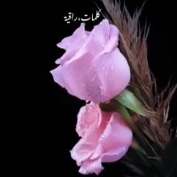﮼كلمات،راقية🖊 (@dmunn11) 's Twitter Profile Photo ﮼كلمات،راقية🖊 (@dmunn11) 's Twitter Profile Photo