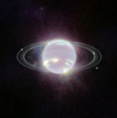 VonDonCrump2's profile picture. 🤫