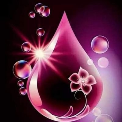 Migueli716's profile picture. sin miedo al éxito