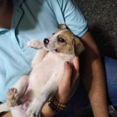 babaIengderaz's profile picture. Architects

♉

https://t.co/nPYsFUFexc