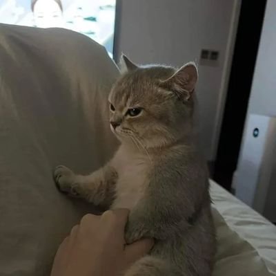 ledz1996's profile picture. a quite place for me to put out everything going on my head