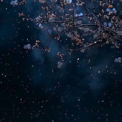 🌌 تقنية معـلومات 🌌