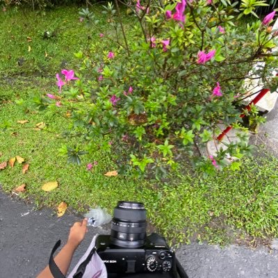 aneteaaa's profile picture. SHARE KUPON HOTEL GRATIS!