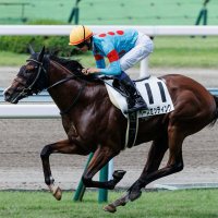 ×せざるおえない×気おつける×定員さん△考え深い ◯を得ない○店員さん○気をつける○感慨深い (@kord9wjjempyfcb) Twitter profile photo