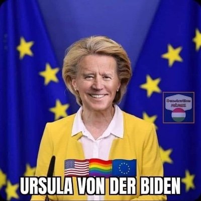 American, European, condemning war and condemning corruption, but condemning American hegemonism . Always look at the path of money to understand world affairs.