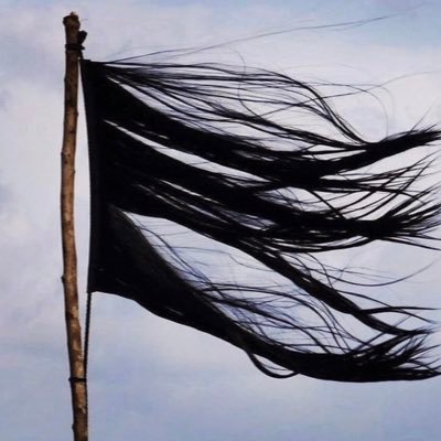 lllaaa1990's profile picture. Women Life Freedom #mahsaamini