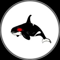 الحوت - The whale (@eorcawhale) Twitter profile photo