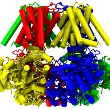 Gene encoding the BK channel. Proud of my introns and exons. Pronouns: BK, Slo1, MaxiK