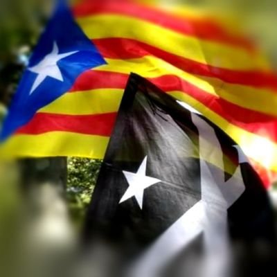 Tossudament i pacíficament alçats... Sóc G.O. I 
Salut i República. Terrassa 
#FemXarxa