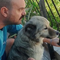 Dimitris Papasimopoulos (@dpapasimopoulos) 's Twitter Profile