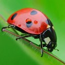 Tanja Hoffmann - @Tierheilprax_TH - Twitter