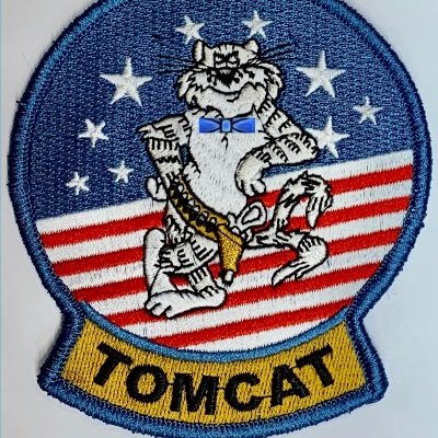 Bow_Tied_Tomcat's profile picture. AGGRESSIVELY MUTE/BLOCK
Retweets/Likes =! Endorsements