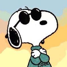 chikuv600's profile picture. 