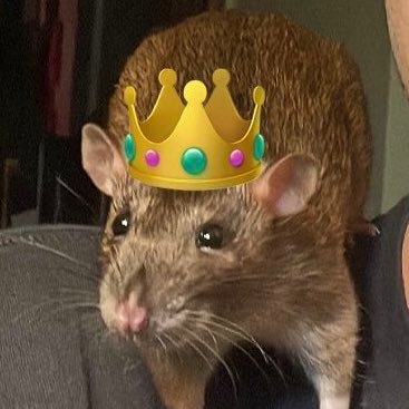 DerbyFranklin's profile picture. 