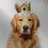 kingleosgold's profile image
