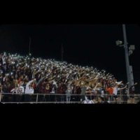 The Nest (@hfiistudentsec) Twitter profile photo