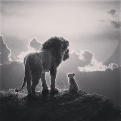 MendesNelcilene's profile picture. 