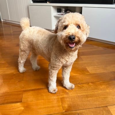 carmenchanlt's profile picture. 