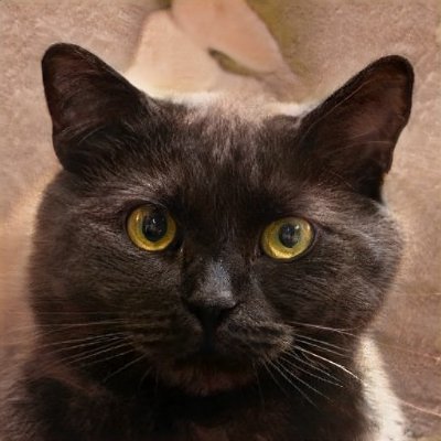 AshleyN39205724's profile picture. 