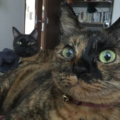 nonpe39's profile picture. 