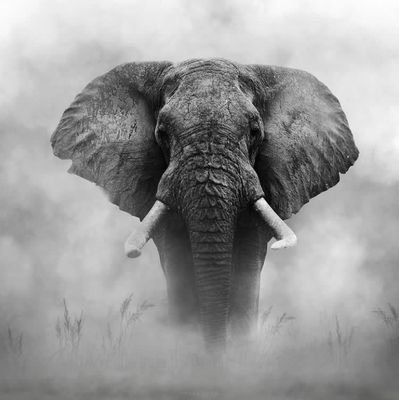 mike_lyeme's profile picture. Founder: Impact Investment™