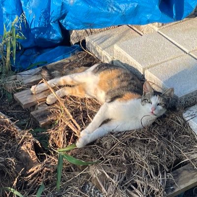 namyedd's profile picture. 