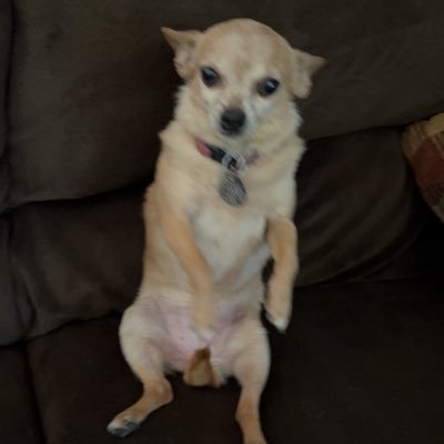 armoire_17's profile picture. 