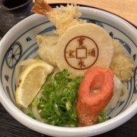 うどん玉 (@9gaku) Twitter profile photo