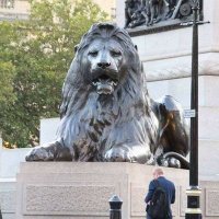 Alan Shore Jr. (@shorejr) 's Twitter Profile
