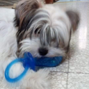 Daniela Cimino - @DanielaCimino10 - Twitter