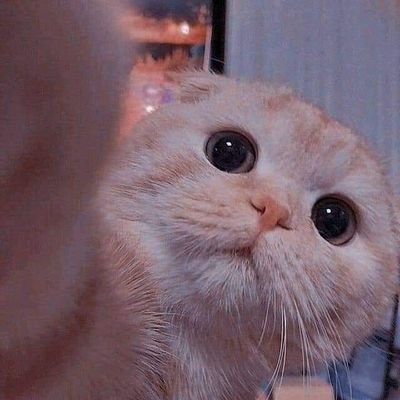 rak_chaynrngkh's profile picture. 